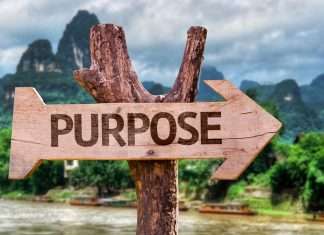 How To Find Purpose In Your Life How to Find Purpose in Your Life