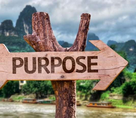 How To Find Purpose In Your Life How to Find Purpose in Your Life