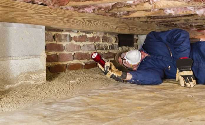 how long does it take to kill termites after treatment?