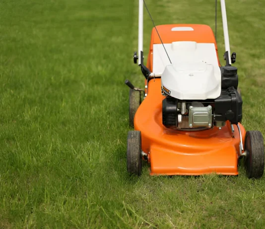How Lawn Mowers Have Evolved for Greater Efficiency and Comfort How Lawn Mowers Have Evolved for Greater Efficiency and Comfort