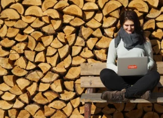 From Sketches to Sedans: Streamlining Big Moves for Creatives and Freelancers Streamlining Big Moves for Creatives and Freelancers