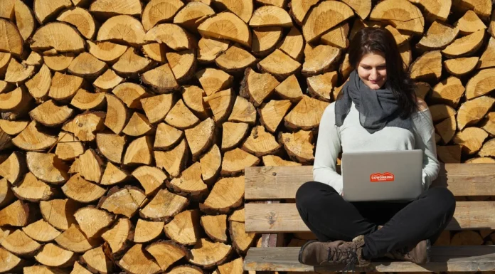 From Sketches to Sedans: Streamlining Big Moves for Creatives and Freelancers Streamlining Big Moves for Creatives and Freelancers